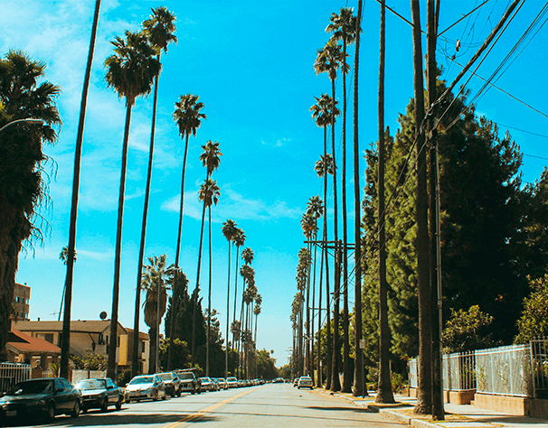 los angeles