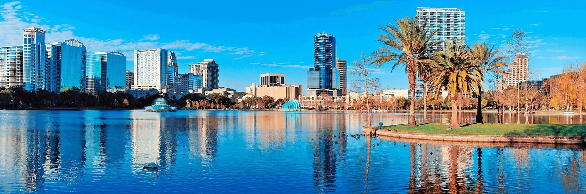 Car rental in Phoenix